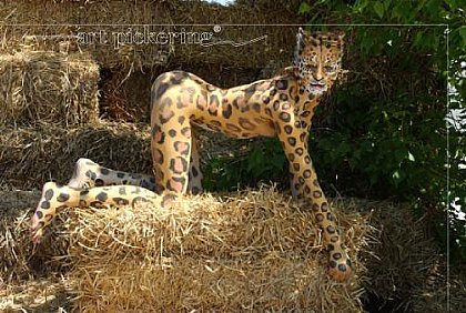 Young- Gepard 2005