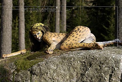 Gepard 2003