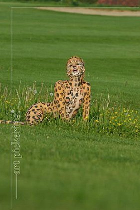 Young-Gepard 2006
