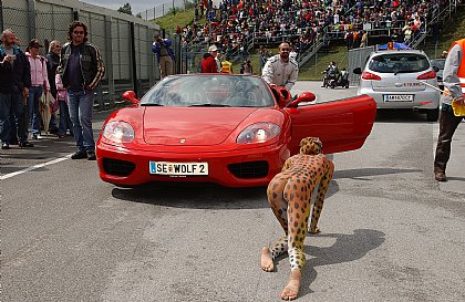 Salzburgring Beiwagen Superbes 2005