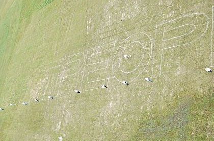 AC Elektrotechnik Festival Linz  2009